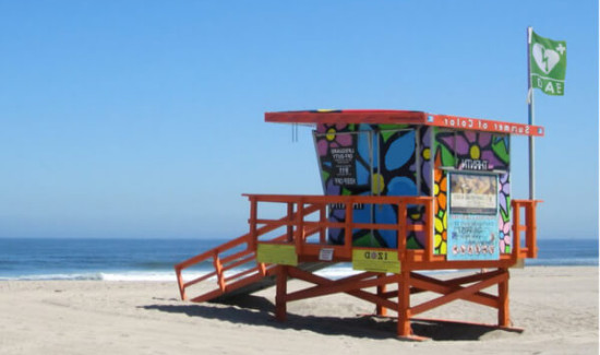 Defibrillatore per la spiaggia, Defibrillatore per lo Stabilimento Balneare